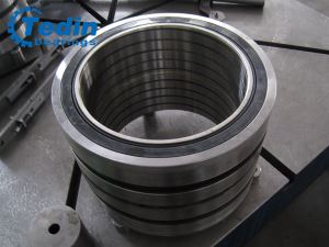 Vierreihiges Kegelrollenlager mit Dichtungen 3806/266.7